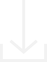 Download Programme Overview Button 